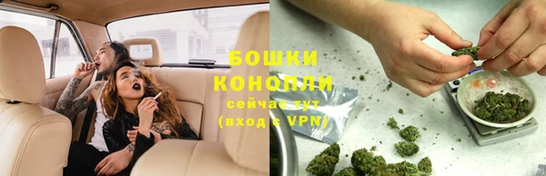 сатива Абдулино