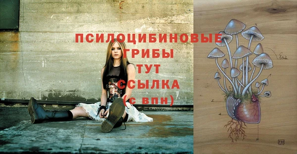 сатива Абдулино
