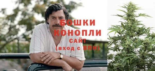 сатива Абдулино